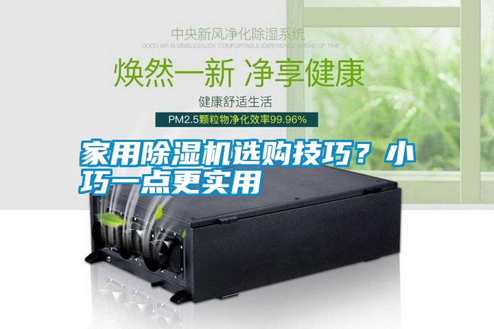 家用除濕機(jī)選購(gòu)技巧？小巧一點(diǎn)更實(shí)用