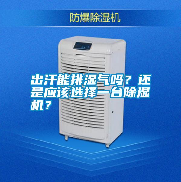 出汗能排濕氣嗎？還是應該選擇一臺除濕機？