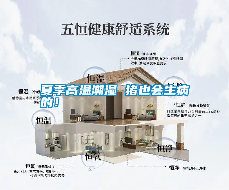 夏季高溫潮濕 豬也會生病的！