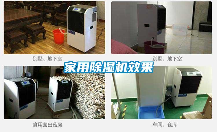家用除濕機效果