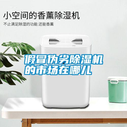 假冒偽劣除濕機(jī)的市場(chǎng)在哪兒