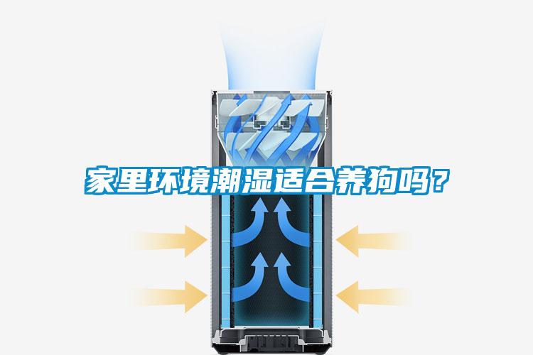 家里環(huán)境潮濕適合養(yǎng)狗嗎？