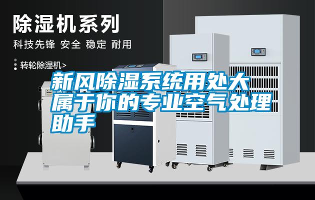 新風(fēng)除濕系統(tǒng)用處大 屬于你的專(zhuān)業(yè)空氣處理助手