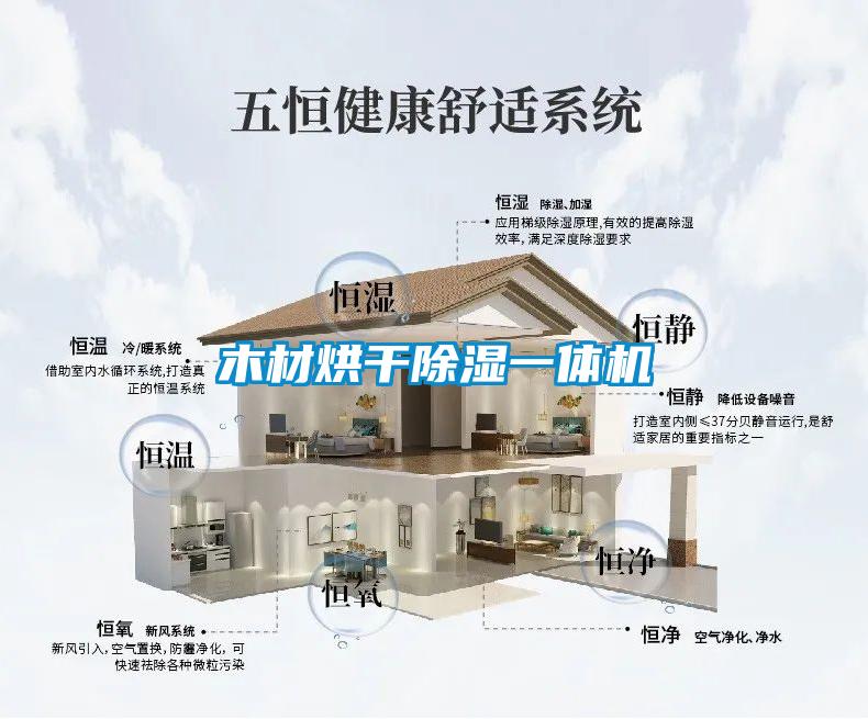 木材烘干除濕一體機