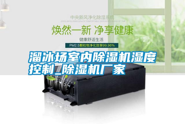 溜冰場室內除濕機濕度控制_除濕機廠家