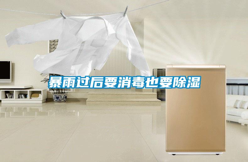 暴雨過后要消毒也要除濕