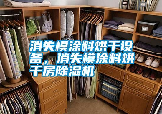 消失模涂料烘干設備，消失模涂料烘干房除濕機