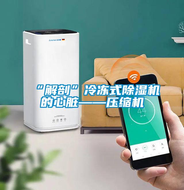 “解剖”冷凍式除濕機的心臟——壓縮機