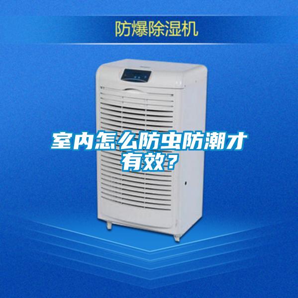 室內怎么防蟲防潮才有效？