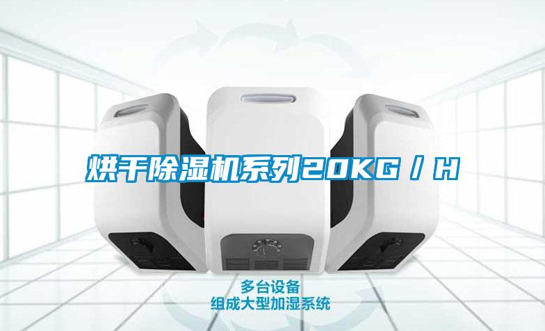 烘干除濕機(jī)系列20KG／H