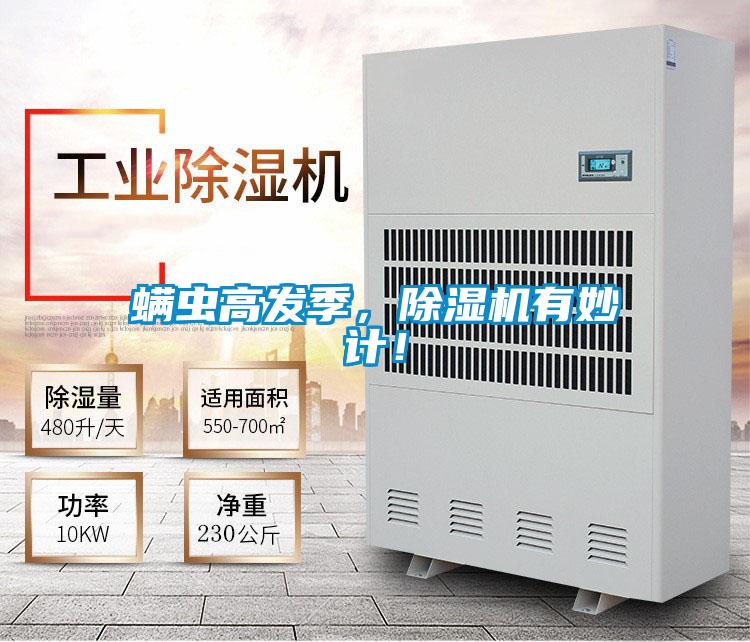 螨蟲高發季，除濕機有妙計！