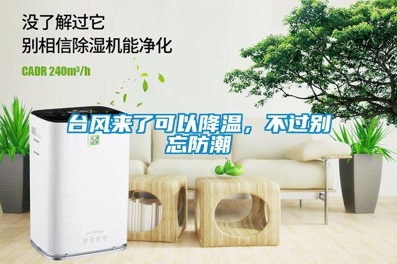 臺風來了可以降溫，不過別忘防潮
