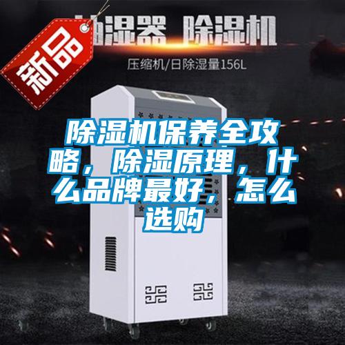 除濕機保養全攻略，除濕原理，什么品牌最好，怎么選購