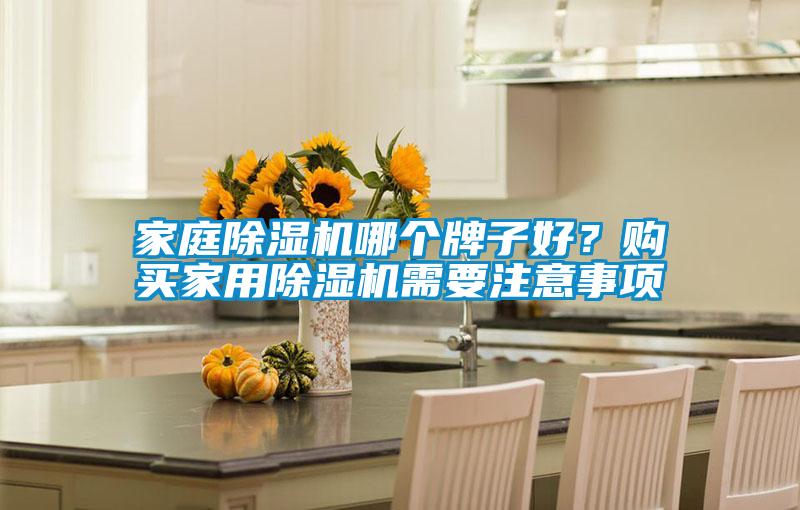 家庭除濕機(jī)哪個(gè)牌子好？購(gòu)買家用除濕機(jī)需要注意事項(xiàng)