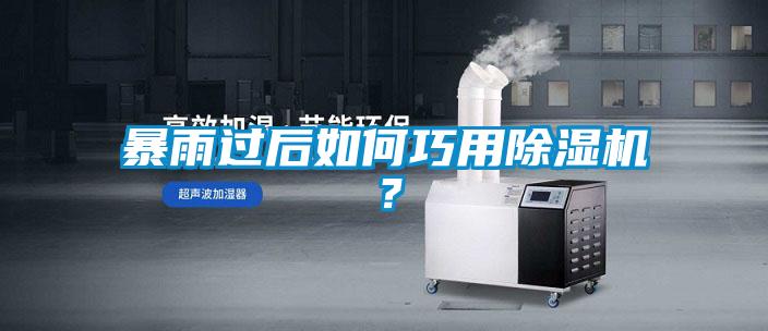 暴雨過后如何巧用除濕機？