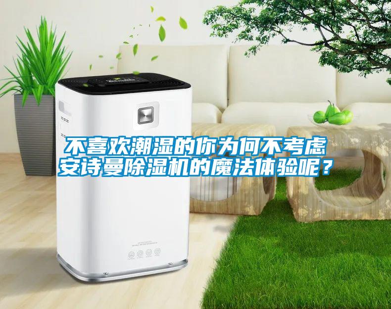 不喜歡潮濕的你為何不考慮安詩曼除濕機的魔法體驗呢？