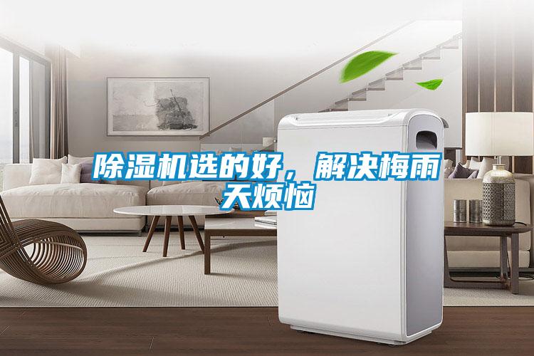 除濕機選的好，解決梅雨天煩惱