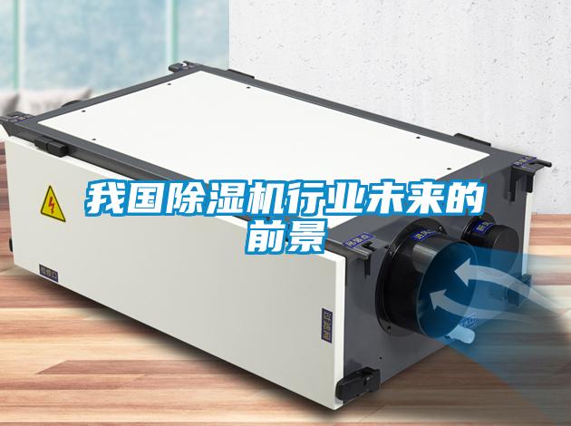 我國除濕機行業(yè)未來的前景