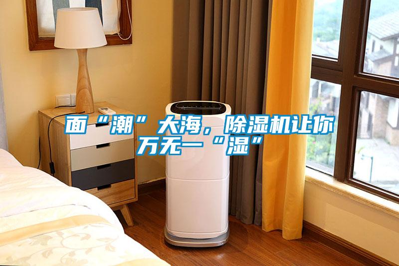 面“潮”大海，除濕機讓你萬無一“濕”