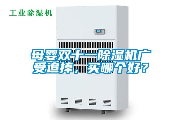 母嬰雙十一除濕機(jī)廣受追捧，買哪個(gè)好？
