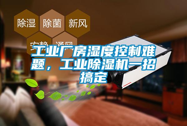 工業(yè)廠房濕度控制難題，工業(yè)除濕機一招搞定