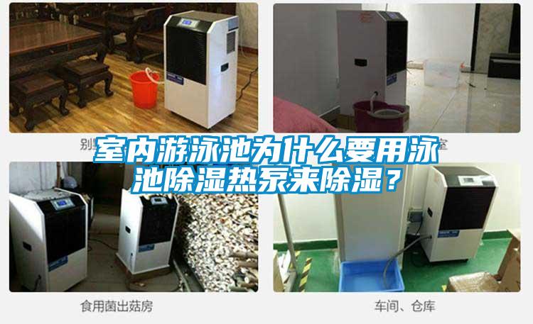 室內(nèi)游泳池為什么要用泳池除濕熱泵來(lái)除濕？