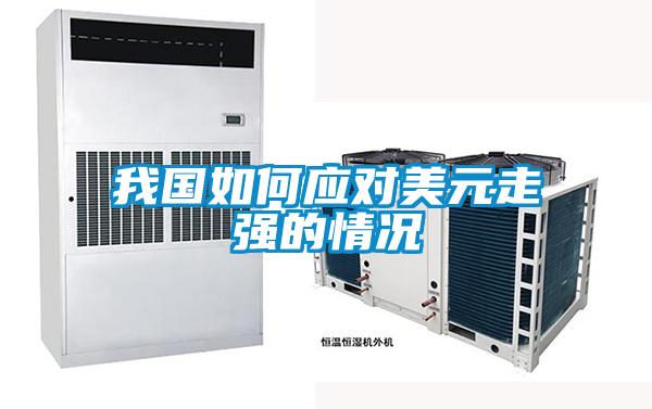 我國如何應對美元走強的情況