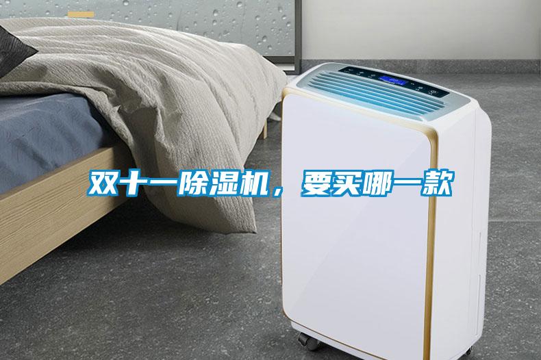 雙十一除濕機，要買哪一款
