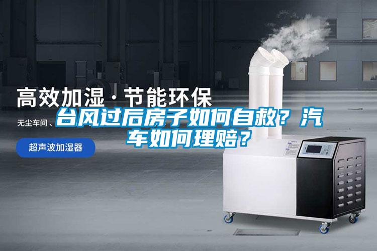 臺風過后房子如何自救？汽車如何理賠？