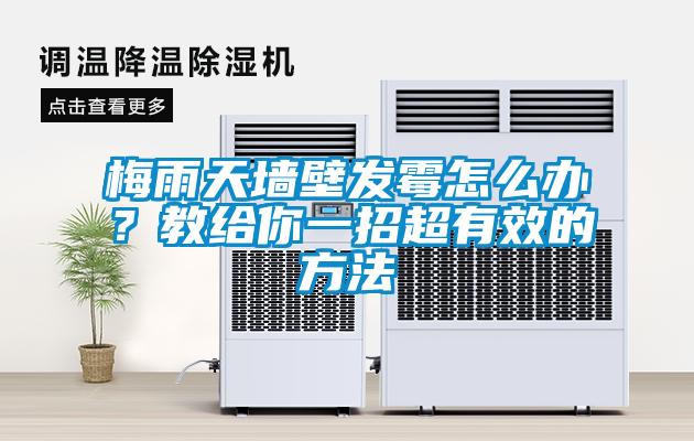 梅雨天墻壁發霉怎么辦？教給你一招超有效的方法