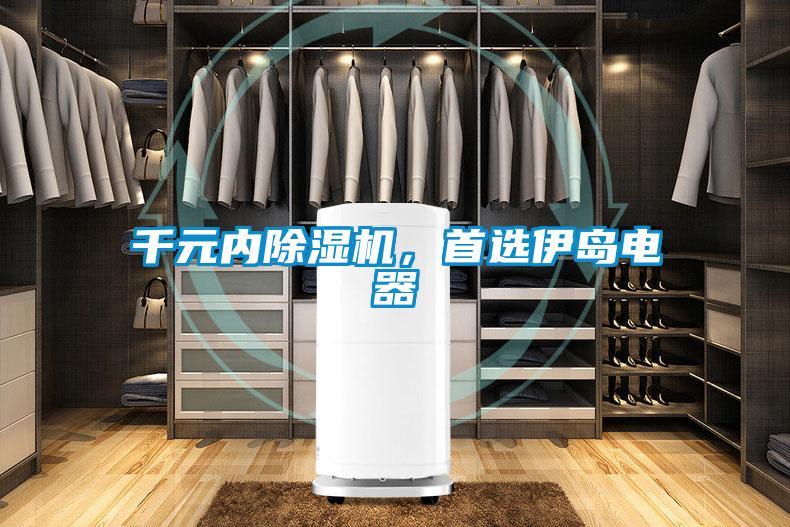 千元內(nèi)除濕機，首選伊島電器