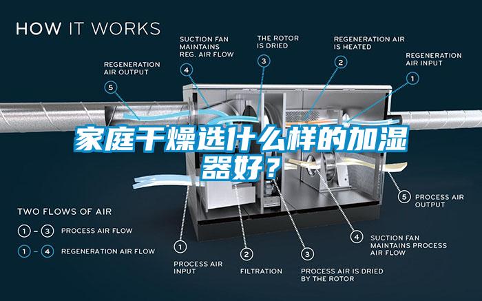 家庭干燥選什么樣的加濕器好？