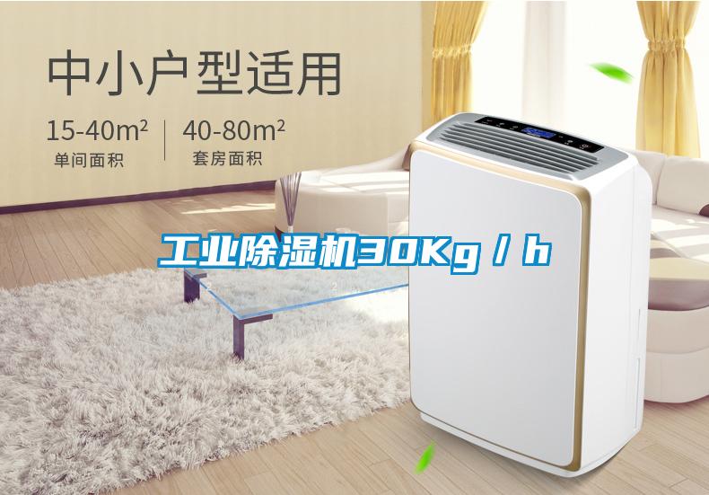 工業除濕機30Kg／h