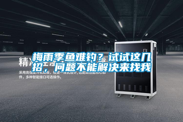 梅雨季魚難釣？試試這幾招，問題不能解決來找我