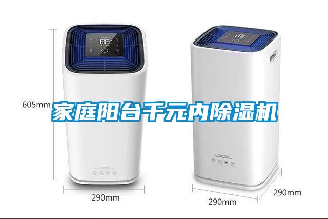 家庭陽臺千元內(nèi)除濕機(jī)