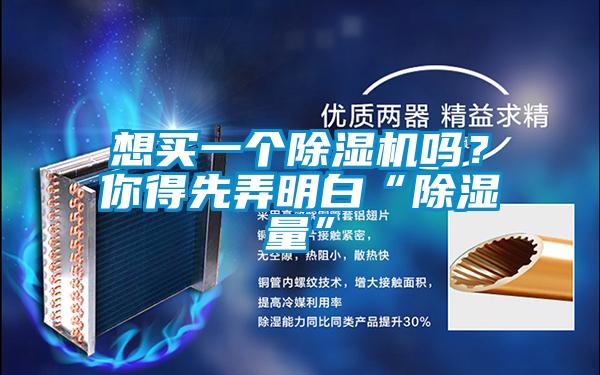 想買一個(gè)除濕機(jī)嗎？你得先弄明白“除濕量”