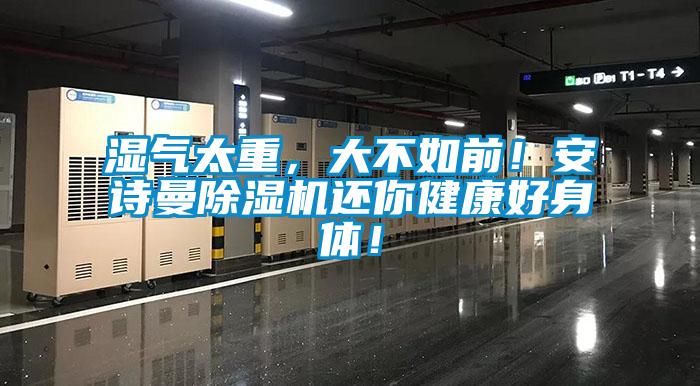 濕氣太重，大不如前！安詩曼除濕機(jī)還你健康好身體！