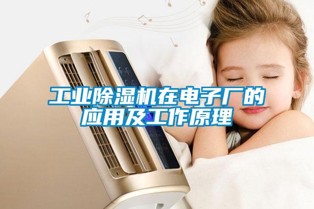 工業除濕機在電子廠的應用及工作原理
