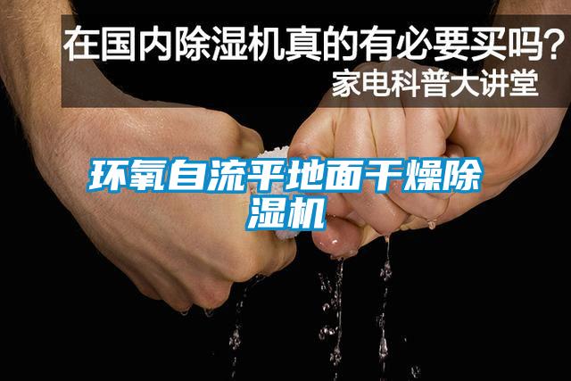 環(huán)氧自流平地面干燥除濕機