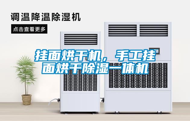 掛面烘干機，手工掛面烘干除濕一體機