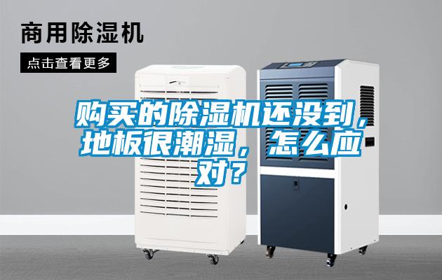 購買的除濕機還沒到，地板很潮濕，怎么應對？