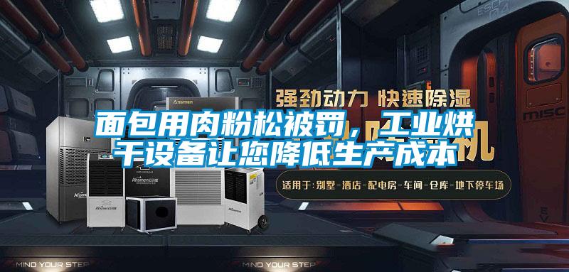 面包用肉粉松被罰，工業烘干設備讓您降低生產成本