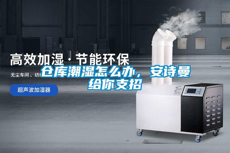 倉庫潮濕怎么辦，安詩曼給你支招