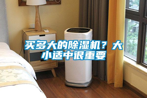 買多大的除濕機？大小適中很重要