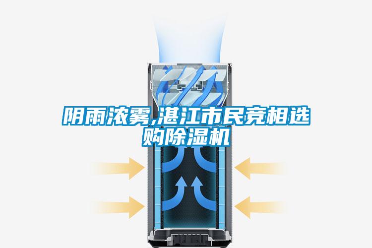 陰雨濃霧,湛江市民競相選購除濕機