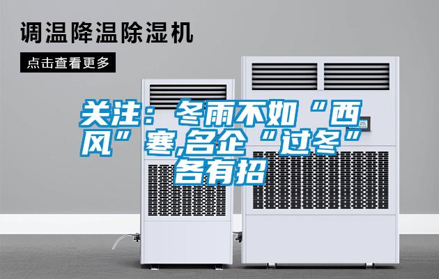 關注：冬雨不如“西風”寒,名企“過冬”各有招