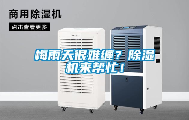 梅雨天很難纏？除濕機來幫忙！