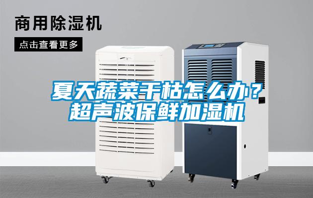 夏天蔬菜干枯怎么辦？超聲波保鮮加濕機