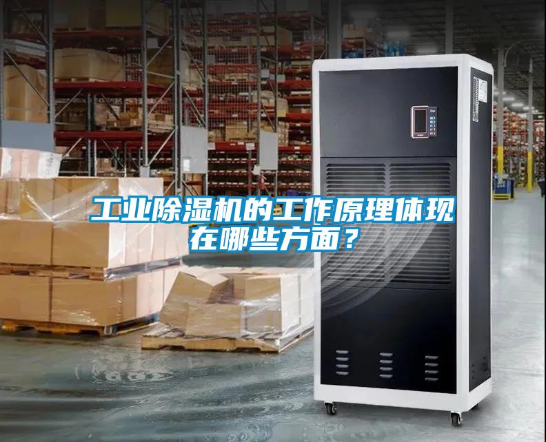 工業除濕機的工作原理體現在哪些方面？