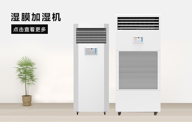 梅雨季，各種東西發(fā)霉了，該怎么辦？如何除霉除霉味？